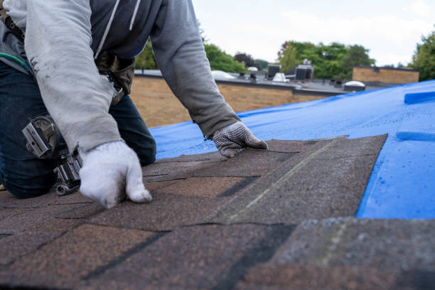 Best Gutter Installation and Roofing  in Hastings, PA