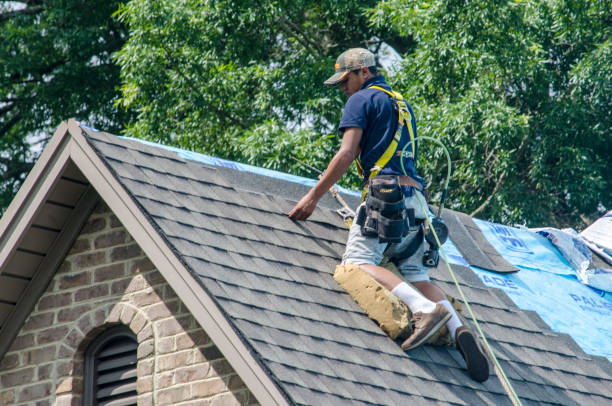 Roof Gutter Cleaning in Hastings, PA